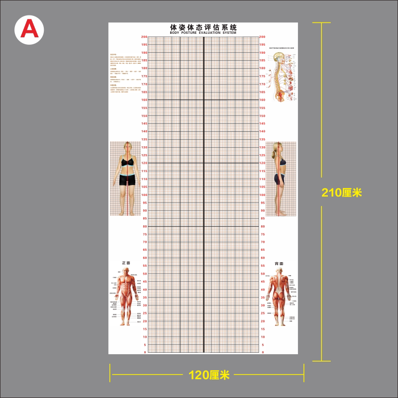 比特币交易平台火币网_im钱包怎么提币到火币网_比特币+火币网