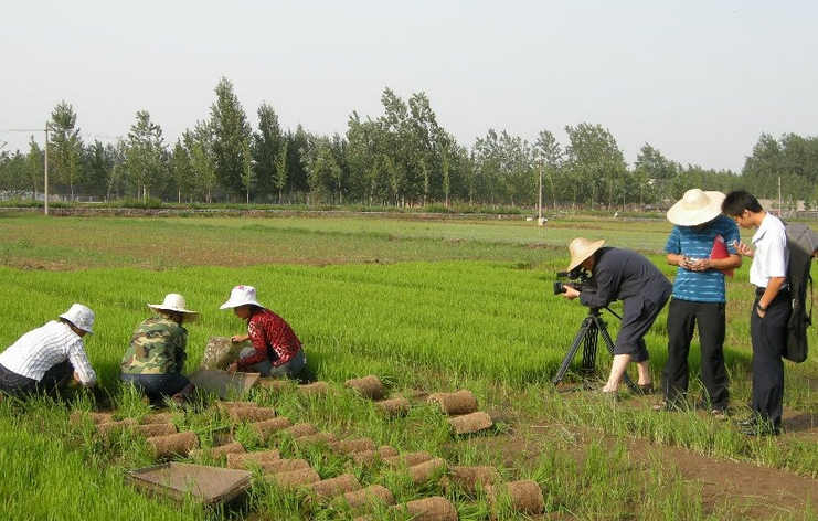 查询地址属于哪个街道_查询地址的经纬度_imtoken地址查询