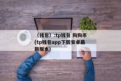 tp钱包能存狗狗币吗,TP钱包能存狗狗币吗？全面解析狗狗币在TP钱包中的存储与使用