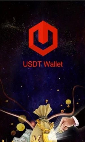 usdt钱包中文版,稳定币存储与交易的安全指南