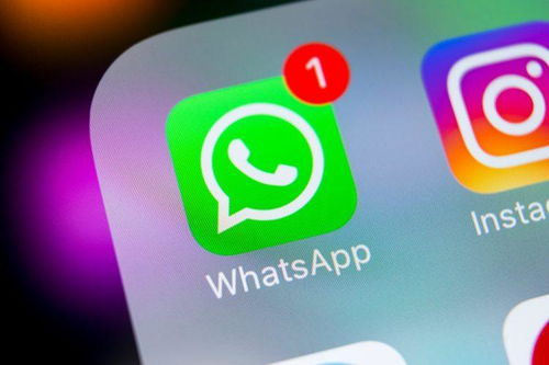 现在whatsapp用不了了,紧急寻找替代解决方案