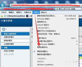 skype 验证出现脚本错误,揭秘技术难题背后的挑战