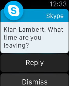 skype聊天软件官方下载苹果,畅享全球即时通讯新体验