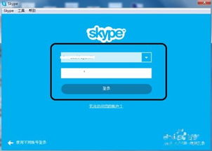 skype共享屏幕死机,Sky