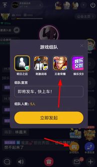 kook开黑语音助手 