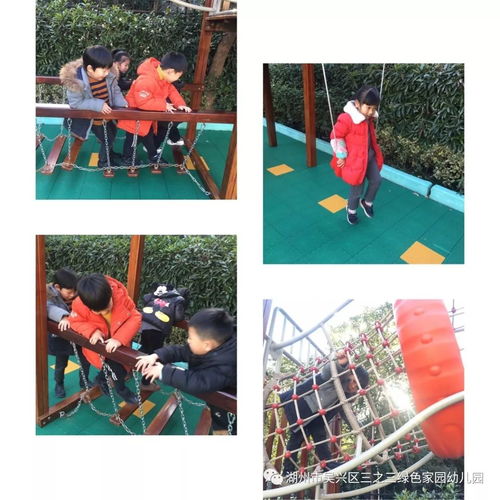 恐怖森林滑滑梯 