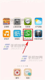 whatsapp怎么查找公司,WhatsApp公司信息查询指南