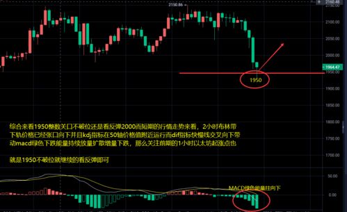 持有一千个以太坊,财富与机遇的