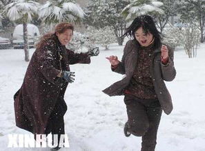 雪仗大作战 