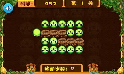 种子猫 