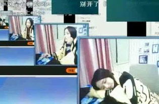 主播和猫的故事游戏最新版 主播和猫的故事游戏最新版